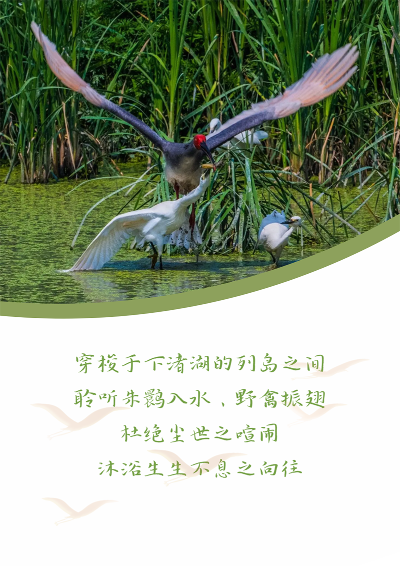 心心念廿 相伴九州酷游 | 与德清相约 贺廿载诞辰